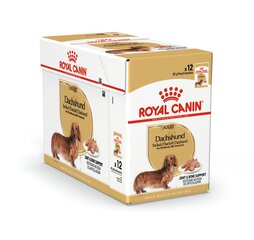 ROYAL CANIN Dachshund Adult mitrā barība suņiem, 12x85g cena un informācija | Konservi suņiem | 220.lv
