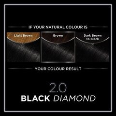 Garnier Noturīga Krāsa Olia 2.0 Black Diamond Garnier Nesatur Amonjaku (4 Daudzums) цена и информация | Краска для волос | 220.lv