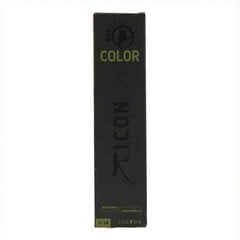 Icon Permanents Krāsojošs Krēms Color Ecotech Icon 10.0 natural platinum (60 ml) cena un informācija | Matu krāsas | 220.lv