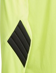 Вратарский джемпер для детей adidas Squadra 21, черно-зелёный, GN5794 цена и информация | Футбольная форма и другие товары | 220.lv