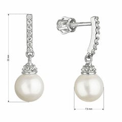 Evolution Group Burvīgi baltā zelta auskari ar īstām pērlēm 81P00021 sEG0631 цена и информация | Серьги | 220.lv