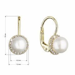 Evolution Group Luksusa dzeltenā zelta auskari ar īstām pērlēm 91P00020 sEG0633 cena un informācija | Auskari | 220.lv