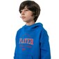 Džemperis zēniem 4F Jr HJZ22-JBLM006 36S, zils цена и информация | Jakas, džemperi, žaketes, vestes meitenēm | 220.lv