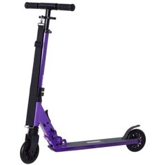 Скутер RIDEOO City 120 Purple цена и информация | Самокаты | 220.lv