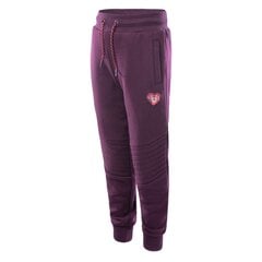 Спортивные брюки для девочек Bejo Tigos Брюки Kdg Jr., фиолетовые цена и информация | Штаны для девочки ABN-2959/KOR/086 | 220.lv