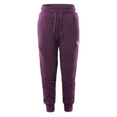 Sporta bikses meitenēm Bejo Tigos Pants Kdg Jr., violeta цена и информация | Штаны для девочек | 220.lv