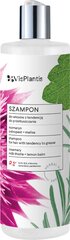 Шампунь для жирных волос Vis Plantis Shampoo for Hair With a Tendency to Greasing Rosemary, 400 мл цена и информация | Шампуни | 220.lv