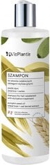 Шампунь для ослабленных волос Vis Plantis Shampoo Weakened Hair With Pumkin Seeds Wheat Oat, 400 мл цена и информация | Шампуни | 220.lv