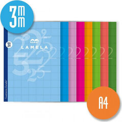 Lamela Piezīmju Grāmata 3X3 3MM A4 50 Loksnes 10 gb. Režģa loksnes (10 gb.) cena un informācija | Burtnīcas un papīra preces | 220.lv