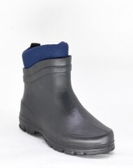 Резиновые сапоги для мужчин, RL 16811081.45 цена и информация | Мужские ботинки | 220.lv