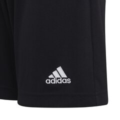 Шорты Adidas Ent22 Shorts Y Black H57502 H57502/176 цена и информация | Шорты для мальчиков | 220.lv