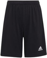 Шорты Adidas Ent22 Shorts Y Black H57502 H57502/176 цена и информация | Шорты для мальчиков | 220.lv