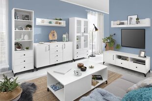Комплект мебели DEGORY I-biały / белый полыск цена и информация | Шкафчики в гостиную | 220.lv