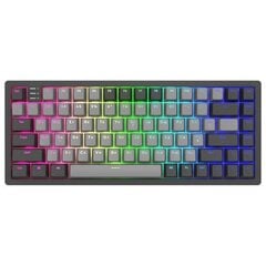 Клавиатура Dark Project K083A Cool Grey, Teal Switch, RU цена и информация | Клавиатуры | 220.lv