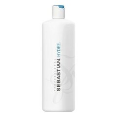 Увлажняющая процедура Sebastian Hydre Moisturizing Treatmen (500 ml) цена и информация | Средства для укрепления волос | 220.lv