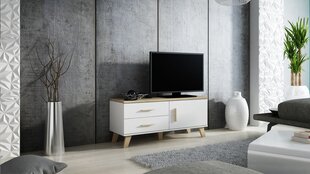 TV galdiņš SANNA 120 1D2S-brylantowa biel / brylantowa biel + dąb sonoma цена и информация | Тумбы под телевизор | 220.lv