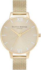 Sieviešu pulkstenis, Olivia Burton, OB16EN13 cena un informācija | Sieviešu pulksteņi | 220.lv
