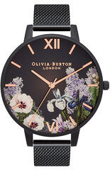 Sieviešu pulkstenis, Olivia Burton, OB16FS116 cena un informācija | Sieviešu pulksteņi | 220.lv