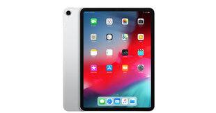 iPad Pro 11" 1.gen 256GB WiFi Silver (atjaunots, stāvoklis A) цена и информация | Планшеты | 220.lv