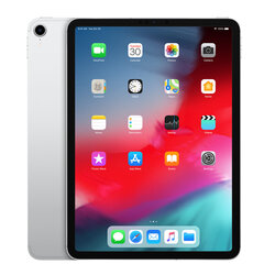 iPad Pro 11" 1.gen 64GB WiFi + Cellular Silver (atjaunots, stāvoklis A) cena un informācija | Planšetdatori | 220.lv