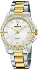 Часы Festina 20594/1 цена и информация | Мужские часы | 220.lv