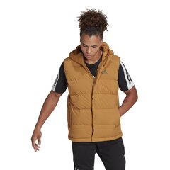 Adidas Vestes Helionic Vest Yellow HG6275 цена и информация | Мужские жилетки | 220.lv