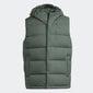 Adidas Vestes Helionic Vest Green HG6274 цена и информация | Vīriešu vestes | 220.lv