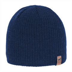 Мужская шапка Need 4You, синяя, мериносовая шерсть цена и информация | Мужские шарфы, шапки, перчатки | 220.lv