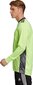 Vārtsarga džemperis Adidas AdiPro 20 GK M FI4192, zaļš cena un informācija | Futbola formas un citas preces | 220.lv