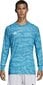 Vārtsarga džemperis Adidas Adipro 19 GK M DP3139, zils цена и информация | Futbola formas un citas preces | 220.lv