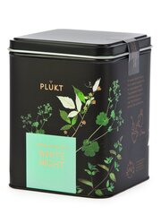 Чай PLUKT White Night Bio цена и информация | Чай | 220.lv