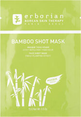 Sejas maska Erborian Bamboo Shot Mask, 15 g cena un informācija | Sejas maskas, acu maskas | 220.lv