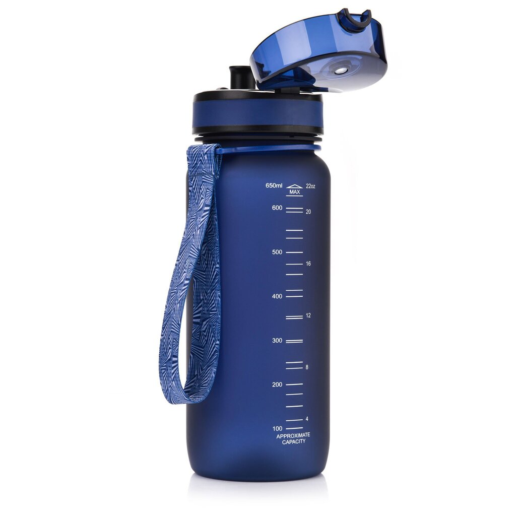 Ūdens pudele Meteor 1000 ml navy blue цена и информация | Ūdens pudeles | 220.lv