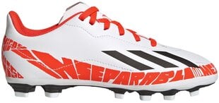 Футбольные бутсы Adidas X Speedportal Messi. 4 FXG White GW8398 GW8398/4 цена и информация | Футбольные бутсы Adidas Nemeziz 19.4 In J, зеленые | 220.lv