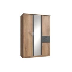 Шкаф Aatrium Koblenz, коричневый цвет цена и информация | Шкафы | 220.lv