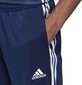 Bikses Adidas Tiro 19, zilas цена и информация | Futbola formas un citas preces | 220.lv