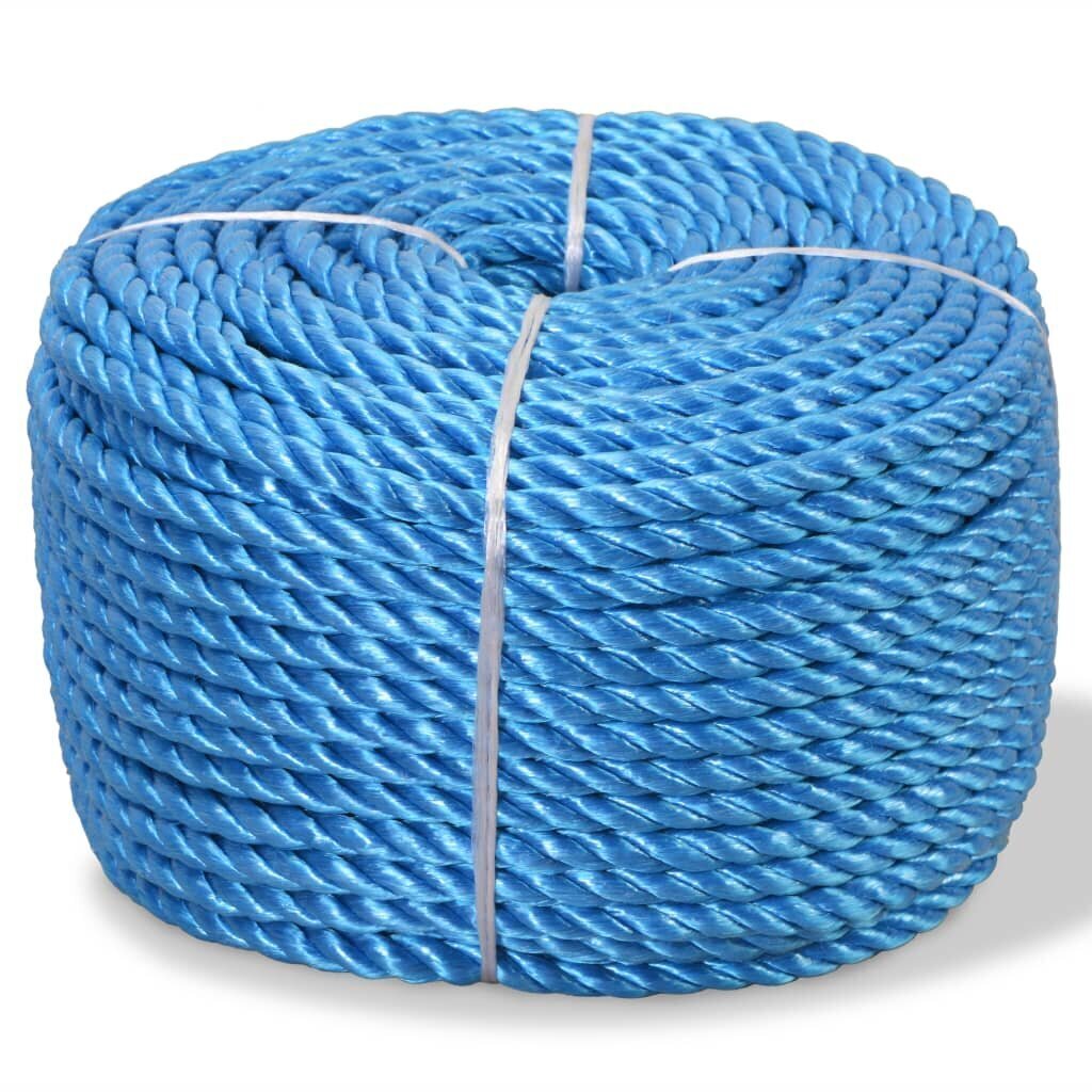 vidaXL vīta virve, polipropilēns, 16 mm, 250 m, zila cena un informācija | Dārza instrumenti | 220.lv