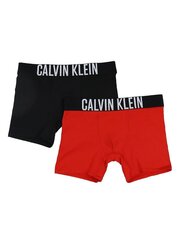 CALVIN KLEIN apakšbikses 520882703 cena un informācija | Zēnu apakšveļa | 220.lv