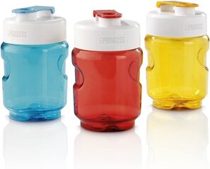 3 pudeļu komplekts ar vāku Princess Bottle2Go - 217402 cena un informācija | Bērnu pudelītes un to aksesuāri | 220.lv