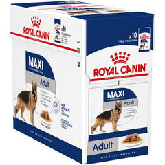 ROYAL CANIN Maxi Adult konservēti pārtikas produkti 140 g x 10 gab. cena un informācija | Konservi suņiem | 220.lv