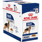 ROYAL CANIN Maxi Adult konservēti pārtikas produkti 140 g x 10 gab. цена и информация | Konservi suņiem | 220.lv