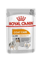 ROYAL CANIN CCN Coat Care mitrā barība suņiem, 12x85g cena un informācija | Royal Canin Suņiem | 220.lv