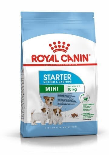 Royal Canin Mini Starter sausā barība kucēniem, 8 kg cena un informācija | Sausā barība suņiem | 220.lv