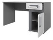 Biroja galds PETITO PE09, pelēks / balts cena un informācija | Datorgaldi, rakstāmgaldi, biroja galdi | 220.lv