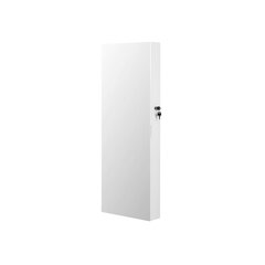 Настенный шкаф с зеркалом белый цена и информация | Детали интерьера | 220.lv