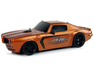 Lean toys Sporta automobilis R/C 1:18 Brown цена и информация | Игрушки для мальчиков | 220.lv