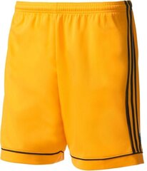 Шорты Adidas Squadra 17, желтые цена и информация | Футбольная форма и другие товары | 220.lv