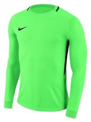 Вратарская футболка Nike Dry Park III LS M 894509-398, зеленая цена и информация | Футбольная форма и другие товары | 220.lv