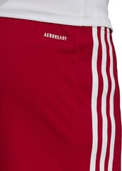 Шорты Adidas Squadra 21, красные цена и информация | Футбольная форма и другие товары | 220.lv