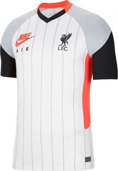T-krekls Nike, balts cena un informācija | Futbola formas un citas preces | 220.lv